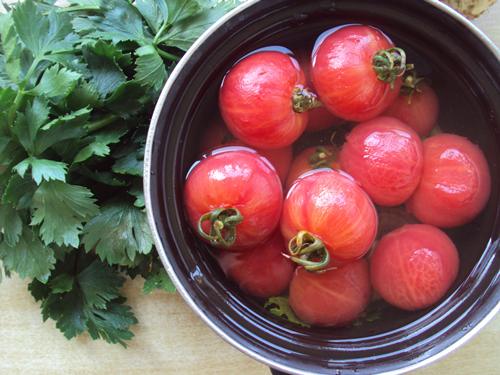 малосольные помидоры рецепт быстрого приготовления в кастрюле